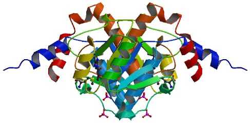 knotted protein