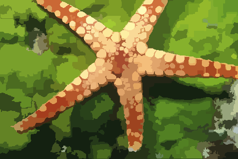 reconstruction