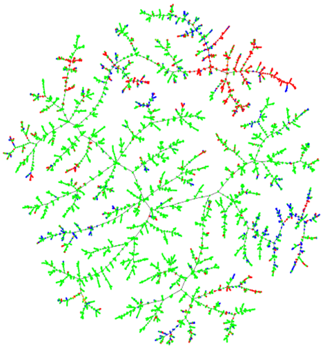 Minimum Spanning Tree of co-crystals