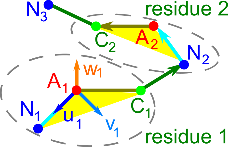 backbone rigid invariant