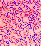 polygonal mesh of a vortex image